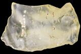 Libyan Desert Glass ( g) - Meteorite Impactite #188572-1